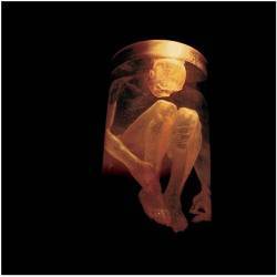 Alice In Chains : Nothing Safe - the Best of the Box
